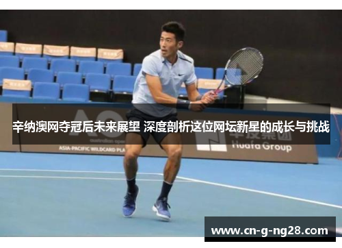辛纳澳网夺冠后未来展望 深度剖析这位网坛新星的成长与挑战