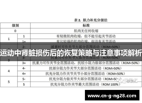 运动中肾脏损伤后的恢复策略与注意事项解析