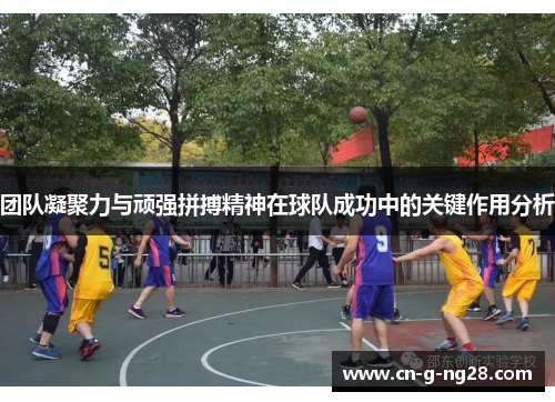 团队凝聚力与顽强拼搏精神在球队成功中的关键作用分析