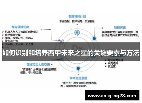 如何识别和培养西甲未来之星的关键要素与方法