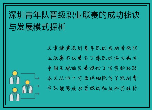 深圳青年队晋级职业联赛的成功秘诀与发展模式探析