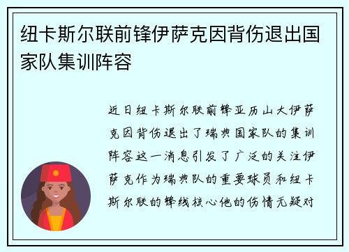 纽卡斯尔联前锋伊萨克因背伤退出国家队集训阵容