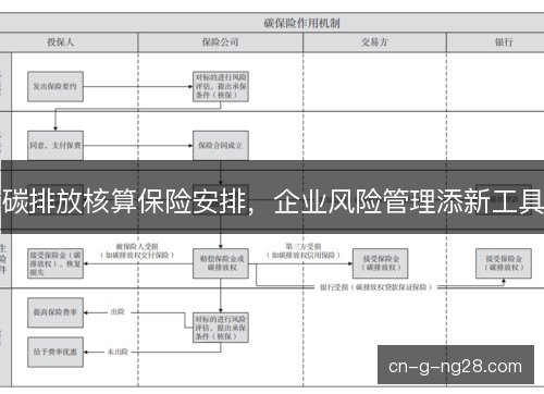 碳排放核算保险安排，企业风险管理添新工具